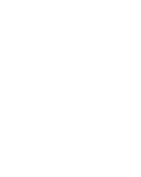 software&iot-icon